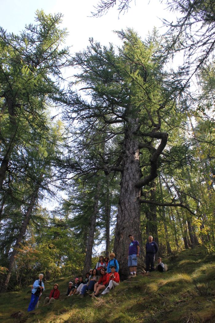 passeggiataspirituale_chambons_fratus_2013_d