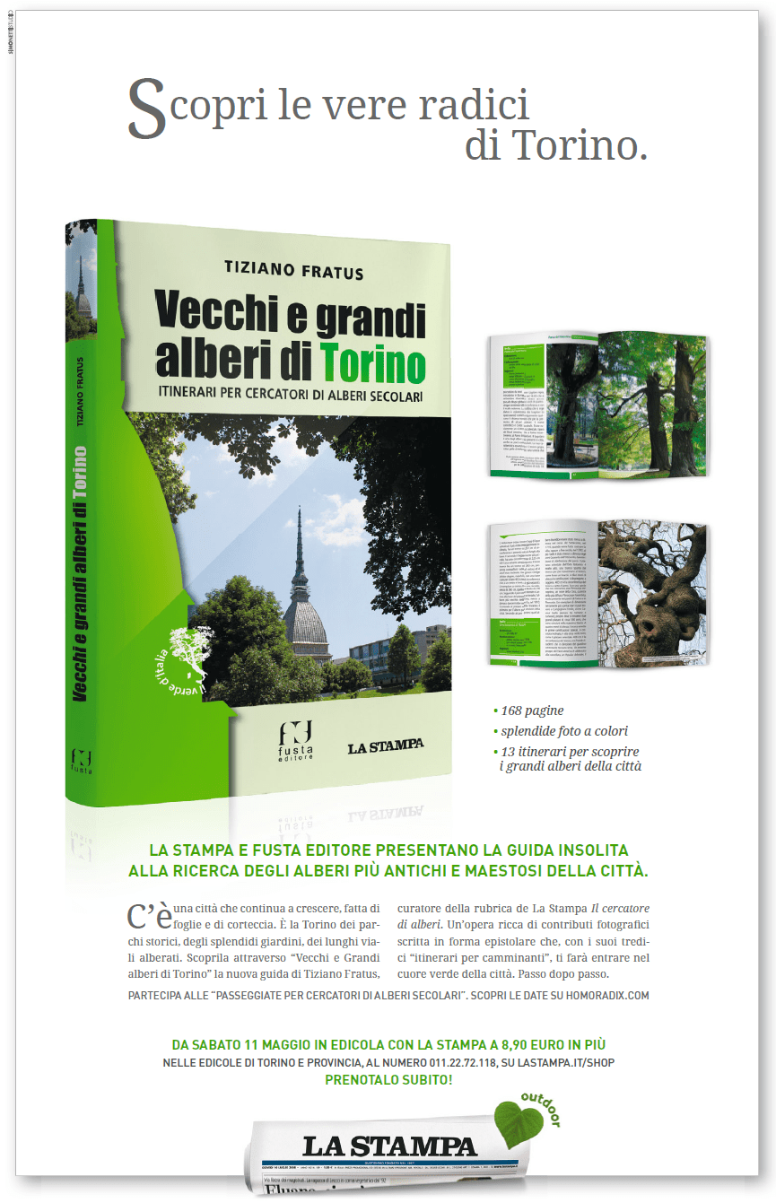 Recensione in piemonteis