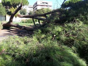 roma_abbattimentimetro_1