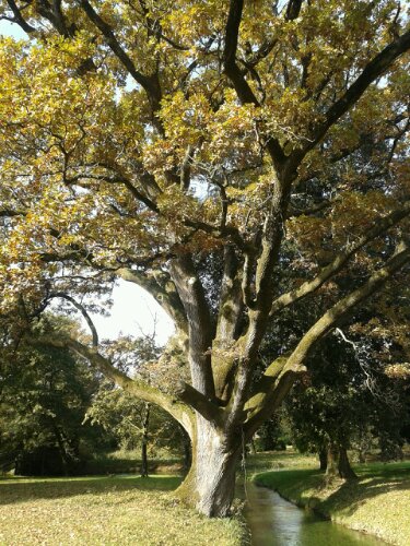 2013-10-19 10.54.14.jpg image