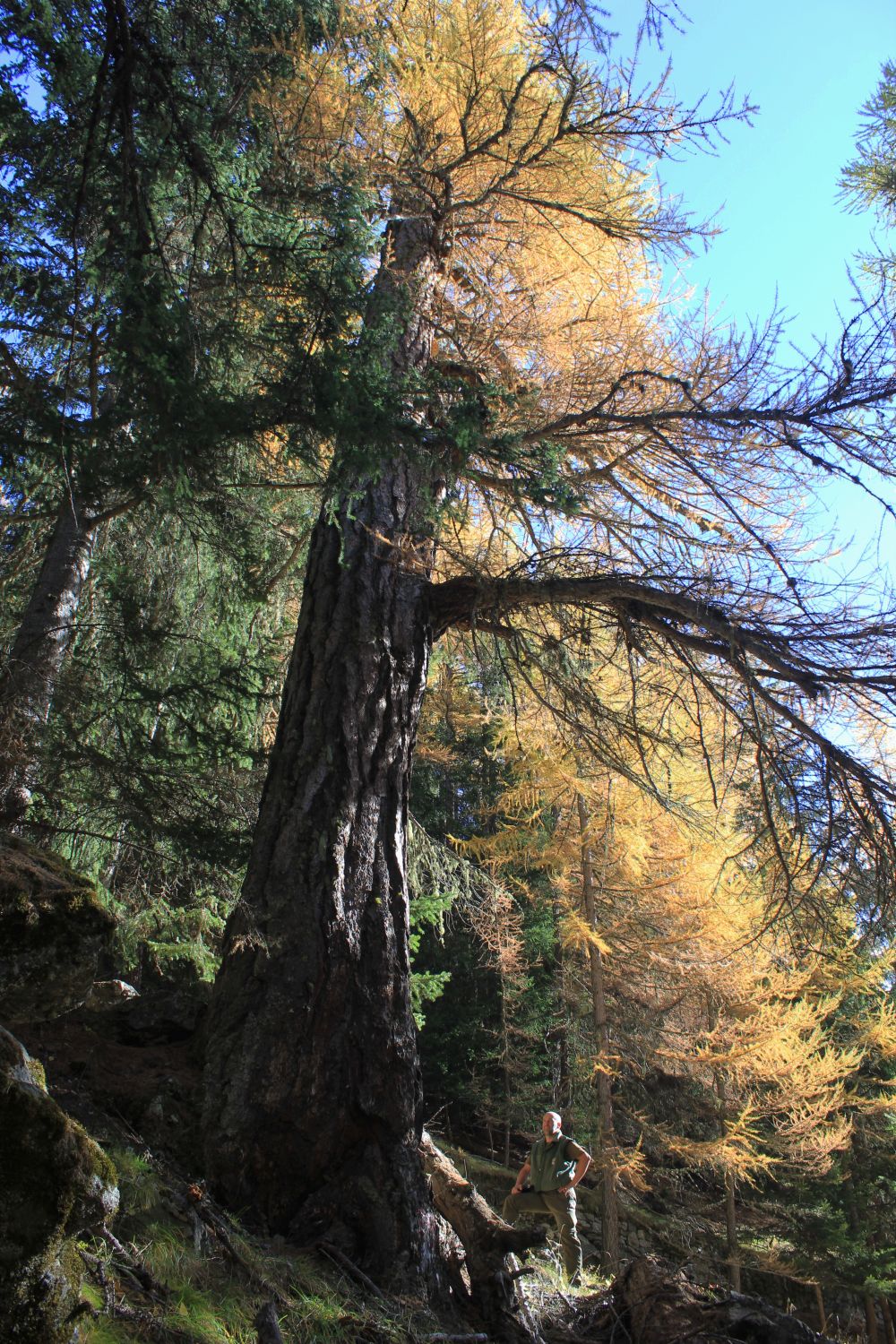 flottadibien_fratus_2013