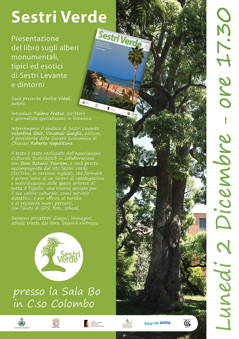 sestri verde smallsmall