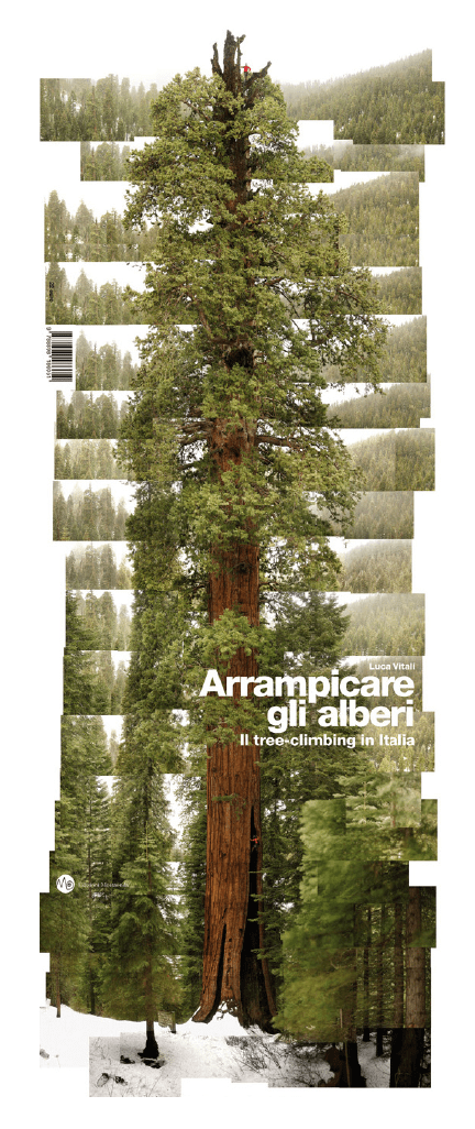 arrampicareglialberi_covra