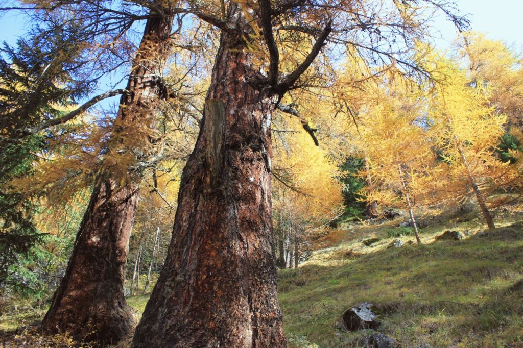 Intervista a Radio Popolare&nbsp;Milano