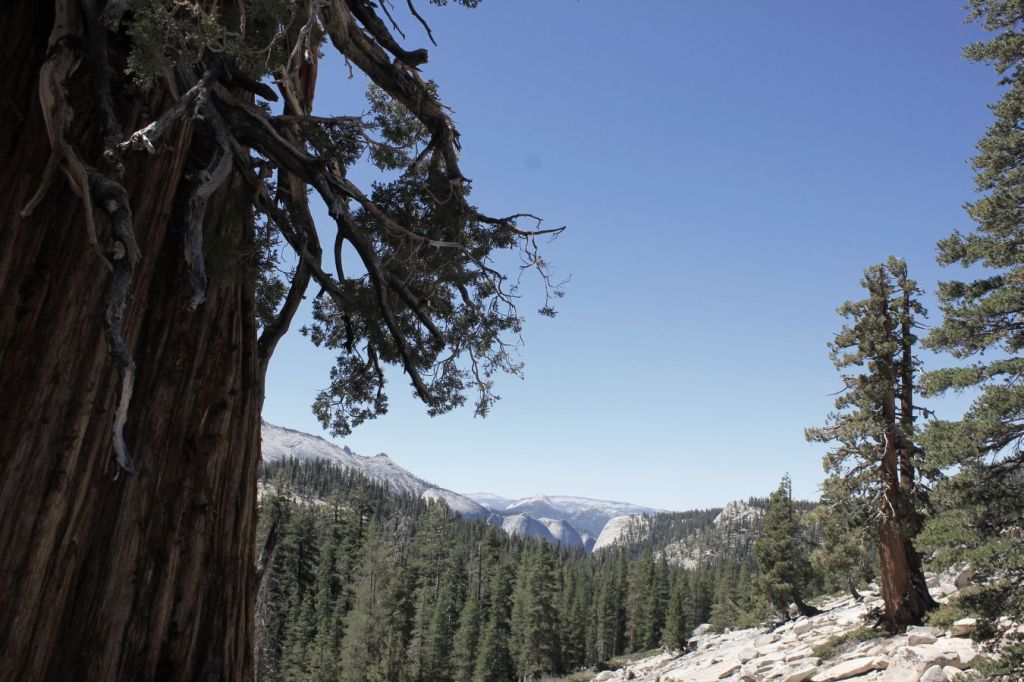 La natura nel&nbsp;futuro