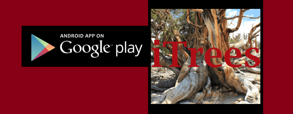 Scarica l’APP “iTrees” by Tiziano&nbsp;Fratus!