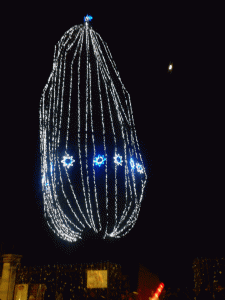 sequoiadinatale_rivara_fratus_2013_a