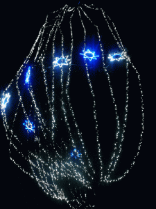 sequoiadinatale_rivara_fratus_2013_b