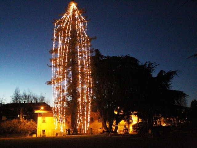 SEQUOIADINATALE_TRADATE