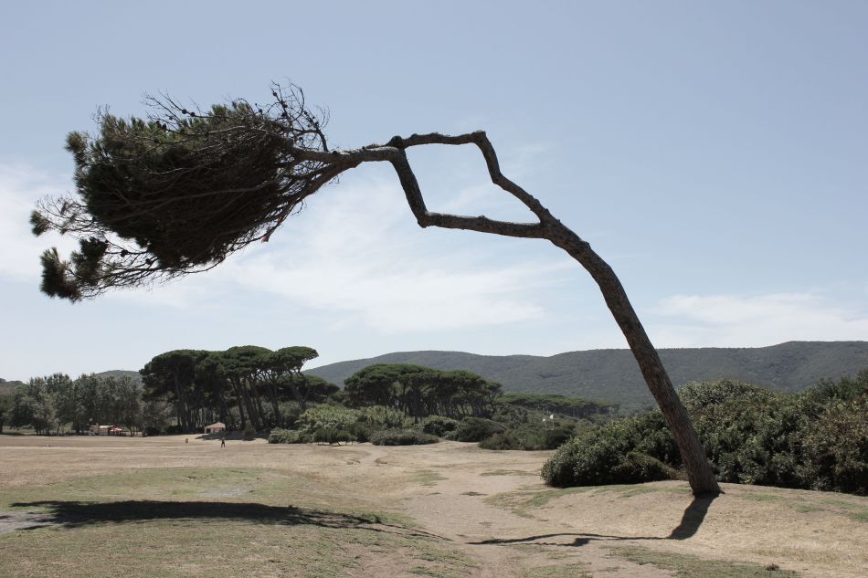 toscana_fratus_golfodibaratti_new