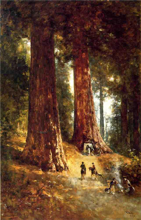 Thomas_Hill_XX__In_the_Redwoods_1894