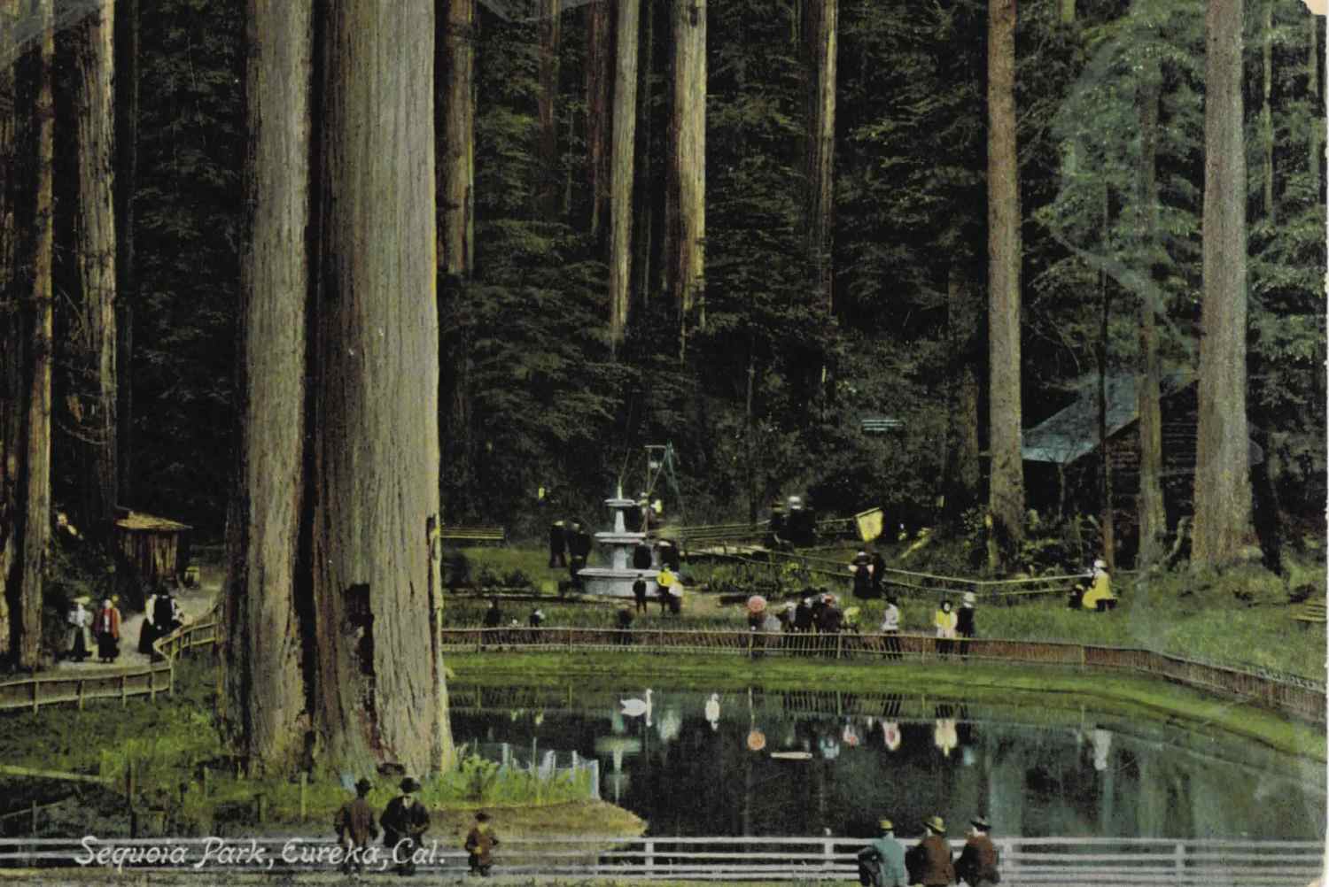 eureka_sequoiapark