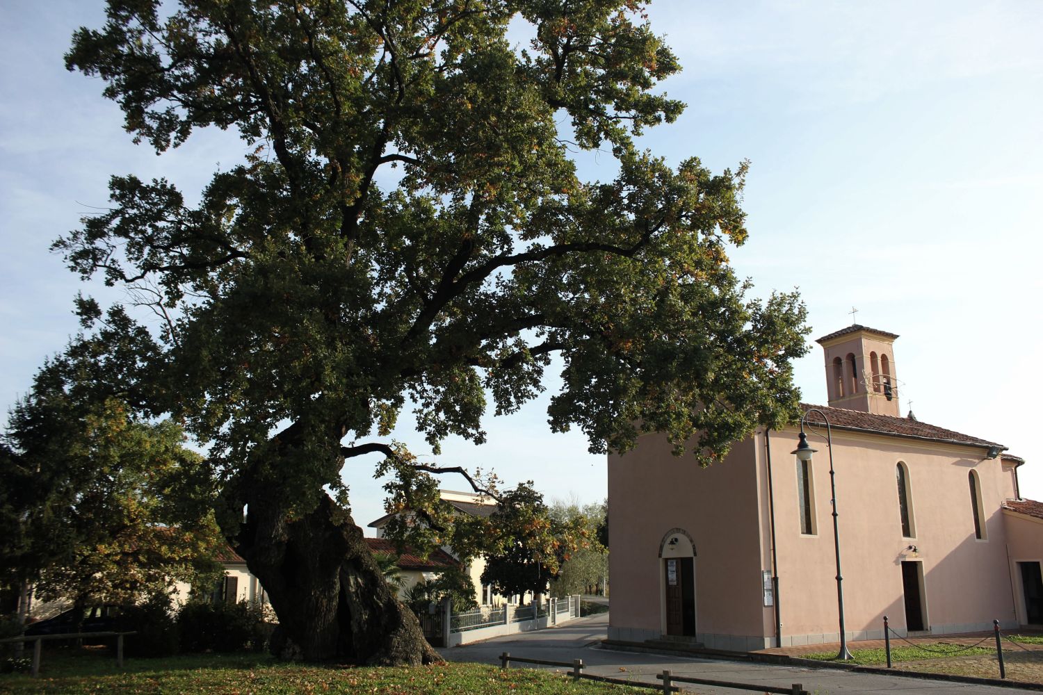 farniafossaltadiportogruaro_fratus_2013