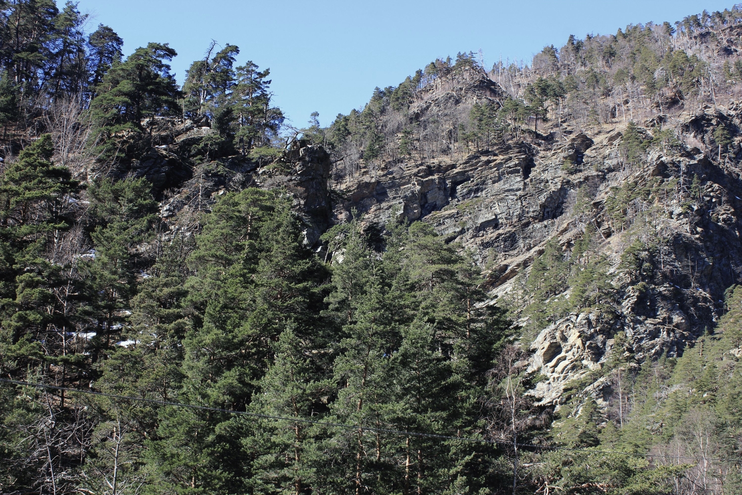 boscodeipiniululanti_fratus_2014_lastampa_redux