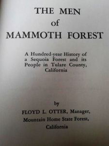 mammothforest_1