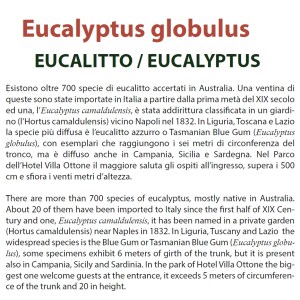 itinerariobotanico_hotelvillaottone_tabellaeucalitto