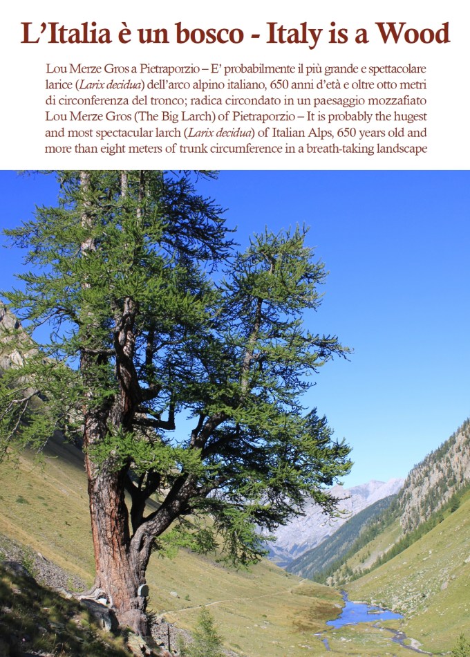 mostra_litaliaèunbosco_fratus_tavola2