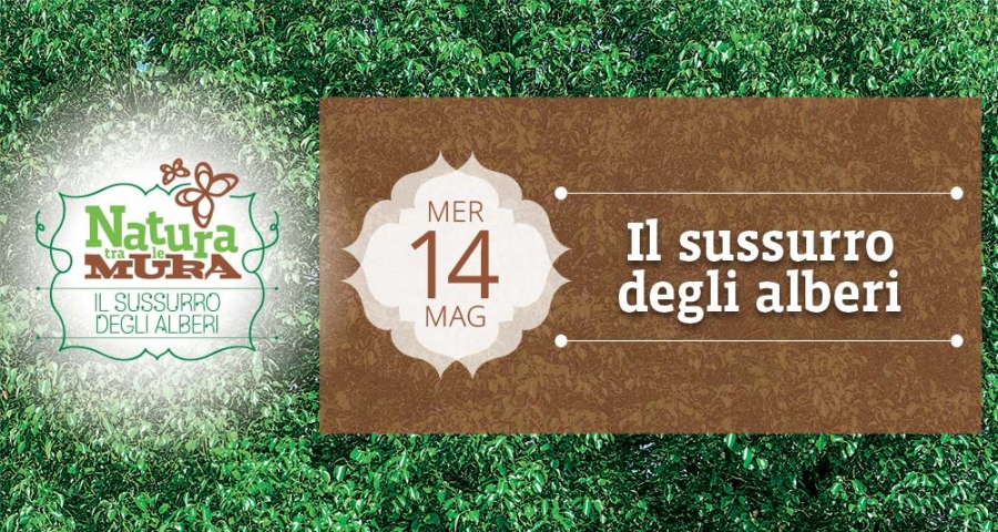 ilsussurrodeglialberi_naturatralemura_montagnana