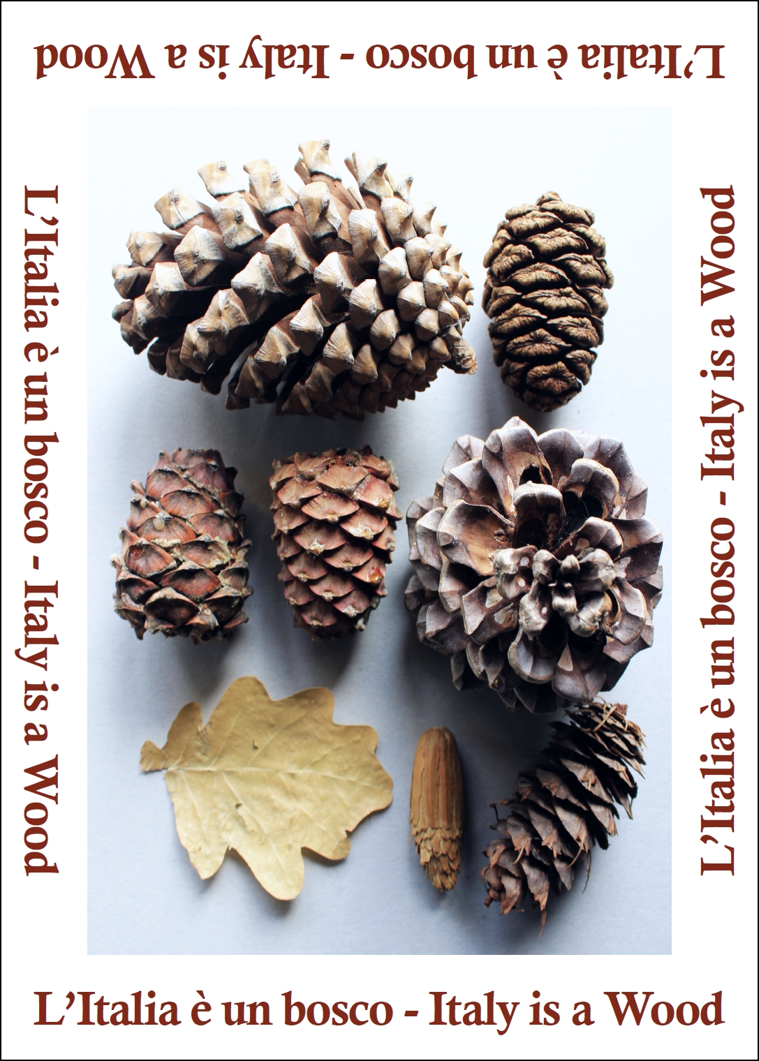 mostra_litaliaèunbosco_fratus