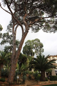 percorsofratus_villaottone_portoferraio_2014_b