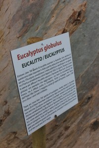 percorsofratus_villaottone_portoferraio_2014_d