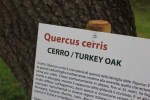 percorsofratus_villaottone_portoferraio_2014_e