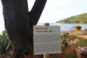 percorsofratus_villaottone_portoferraio_2014_g