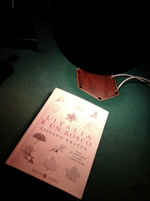 fahrenheit_litaliaeunbosco