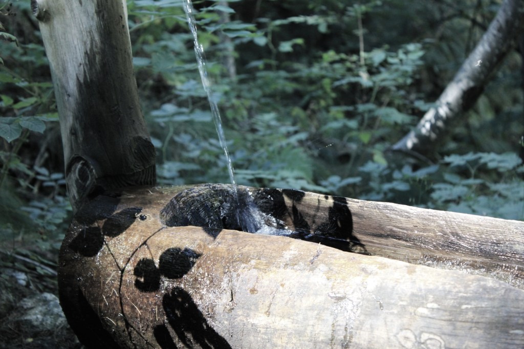 Una carezza terrestre