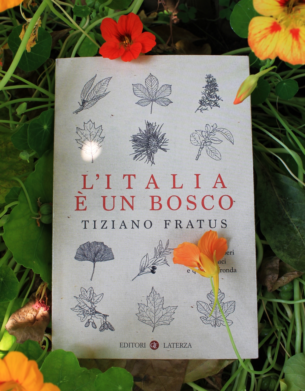 “L’Italia è un bosco” fra i consigli per l’estate di «Roma Capitale»