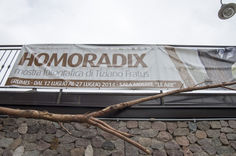 homoradix_mostragrumes_a