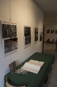 homoradix_mostragrumes_b