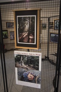 homoradix_mostragrumes_e