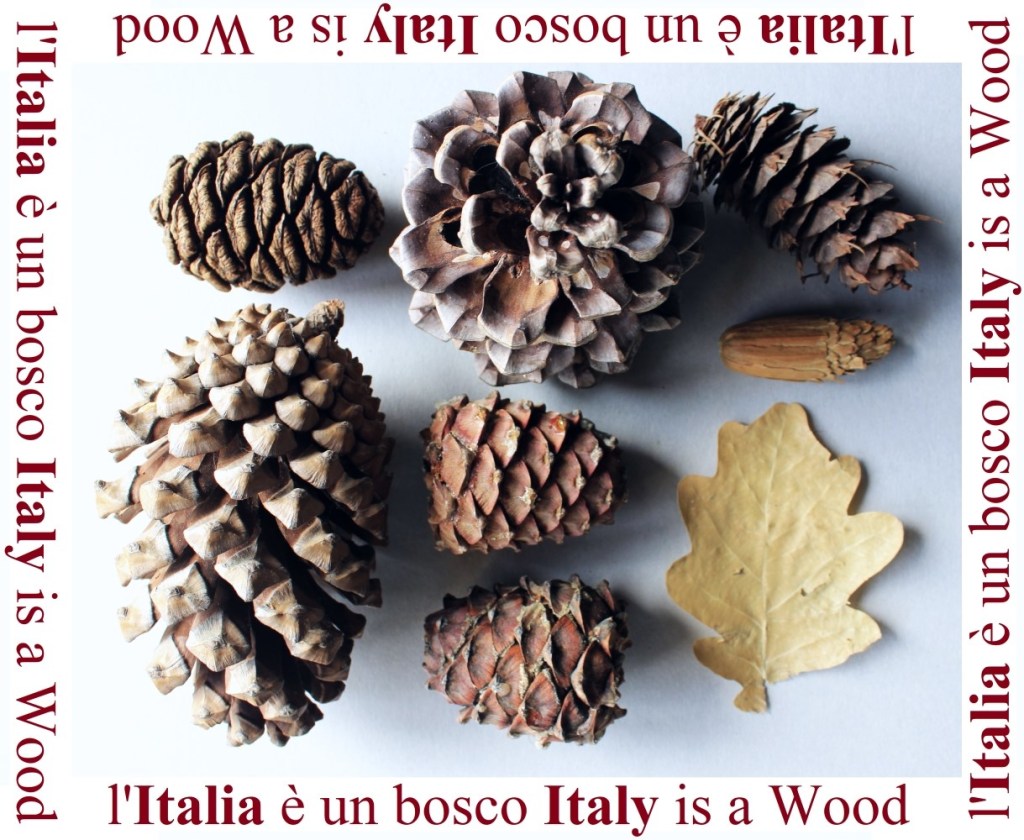 “L’Italia è un bosco” a&nbsp;Sanremo