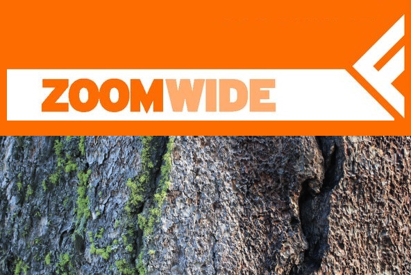 zoomwide_feltrinelli