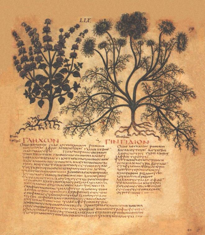 erbario