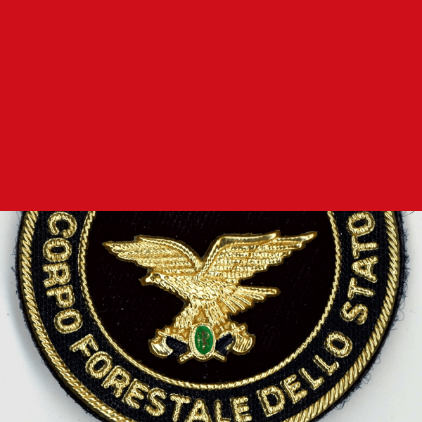 “L’Italia è un bosco” recensito ne Il&nbsp;Forestale