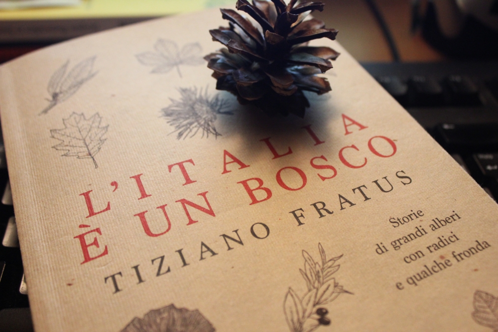 3 presentazioni nel&nbsp;torinese