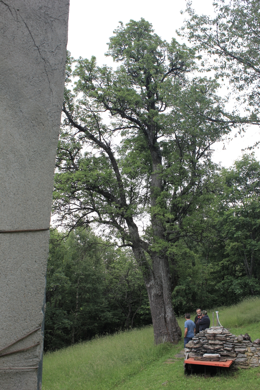 pero_fratus_villarfocchiardo_redux