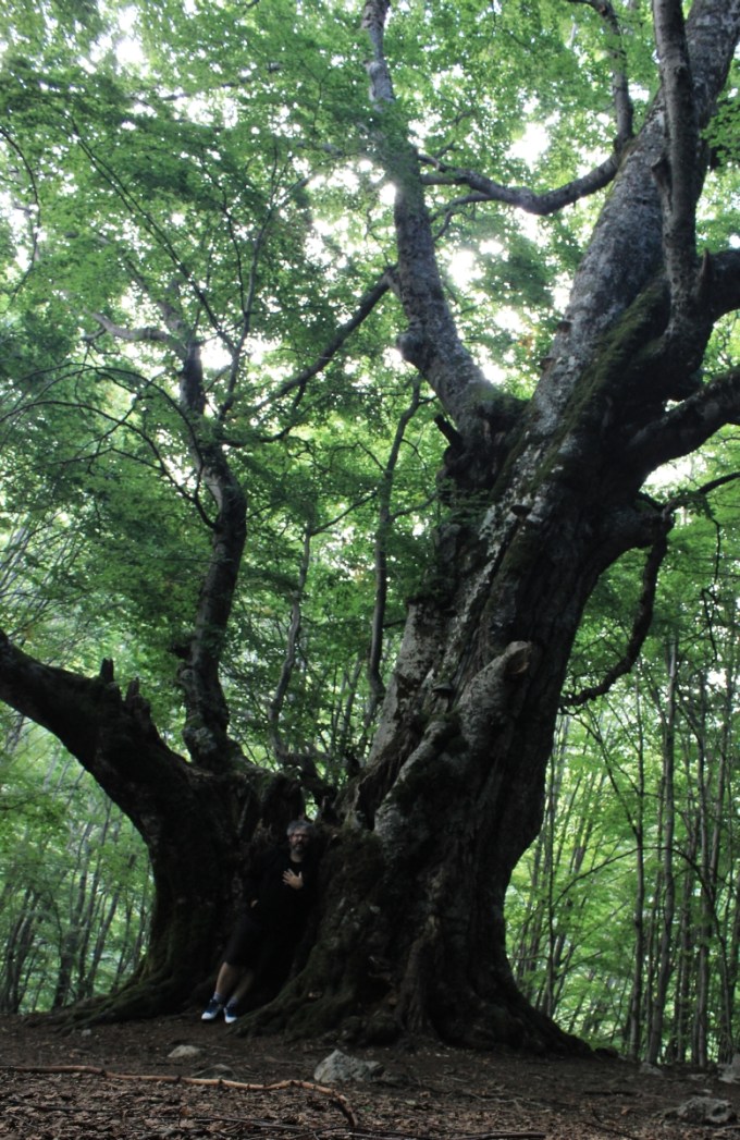 abruzzo_faggiodelpontone_fratus_lungo_redux