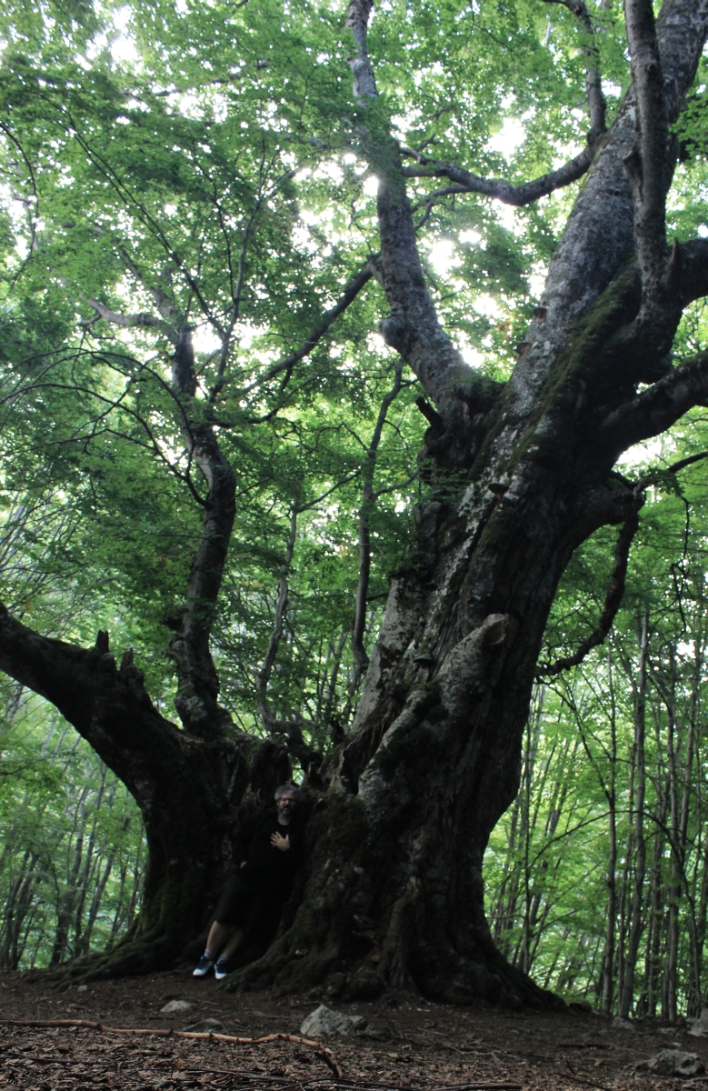 Il Faggio del Pontone su «La&nbsp;Stampa»