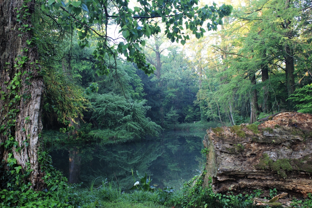 Sabato 11 e domenica 12 al Parco storico di Fraforeano per Castelli&nbsp;Aperti