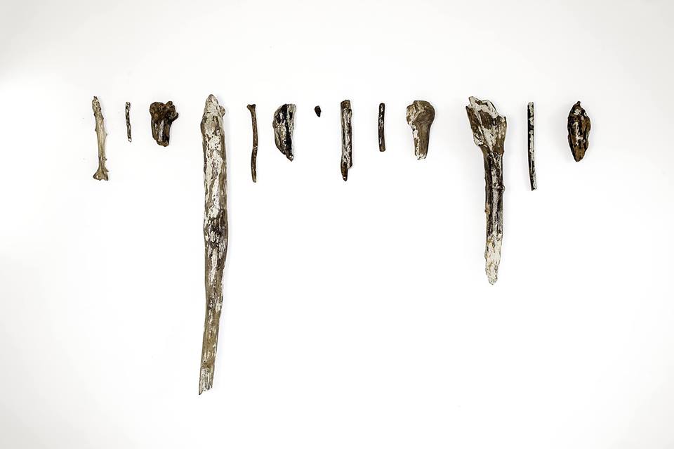 Curando il mondo – mostra di Giorgia&nbsp;Severi