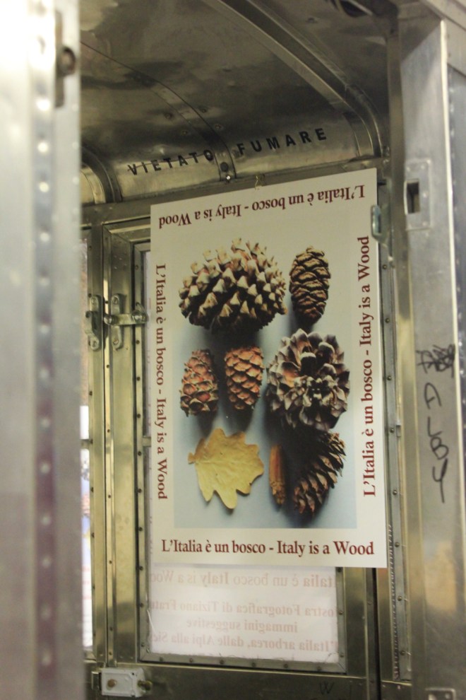 sanremo_mostrafratus_2014_a