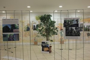 sanremo_mostrafratus_2014_b