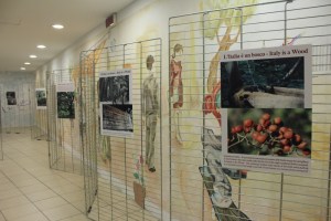 sanremo_mostrafratus_2014_c