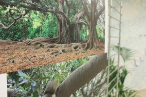 sanremo_mostrafratus_2014_d