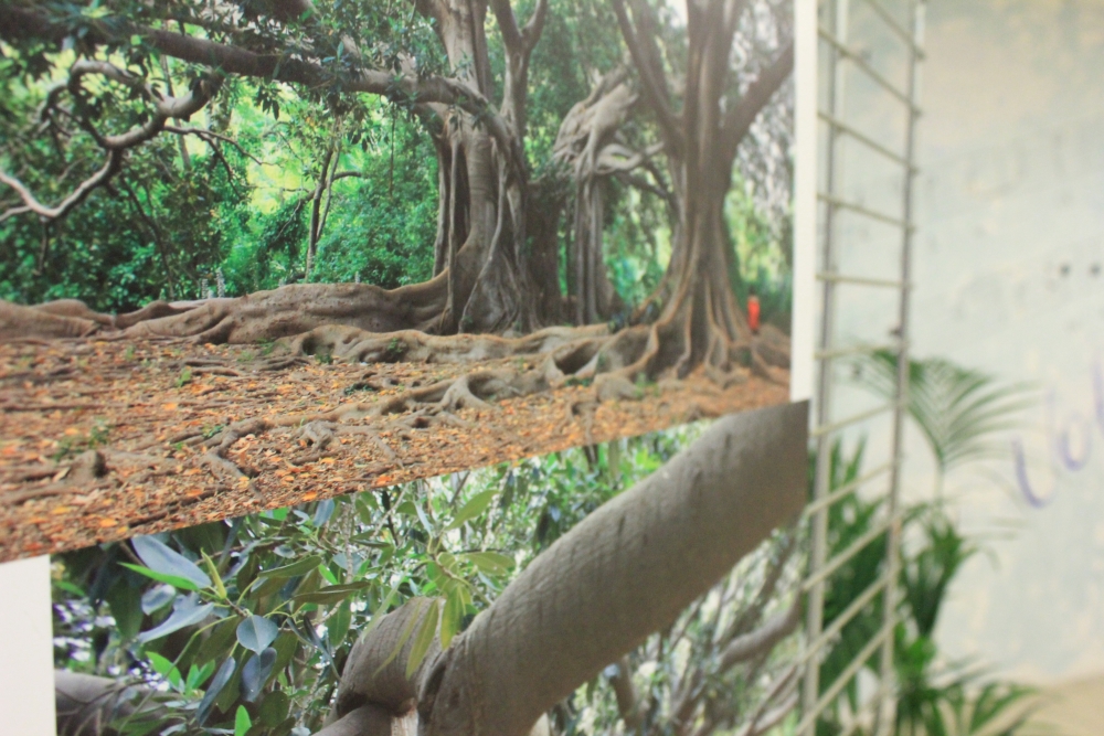 La mostra fotografica a Sanremo, fino al 19&nbsp;settembre