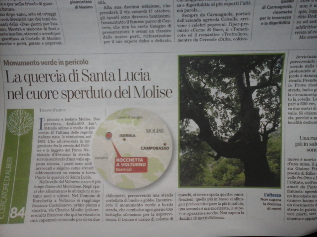 La quercia di Santa Lucia in&nbsp;Molise