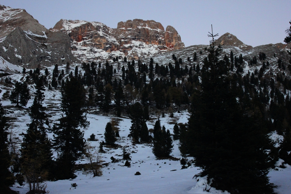 I pini di Lerosa oggi su «La&nbsp;Stampa»